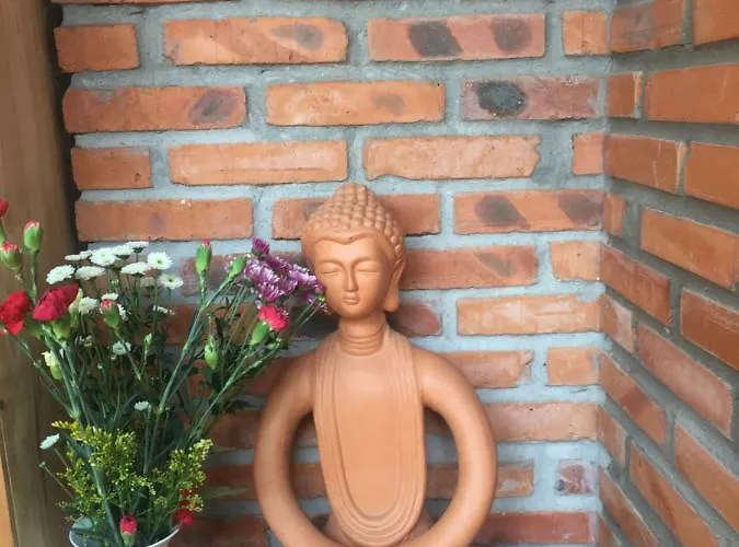 Отель Le Jardin D'alice 2*
