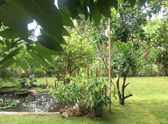 Le Jardin D'alice 2*