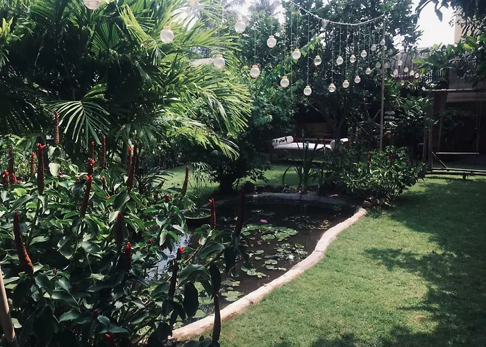 Le Jardin D'alice
